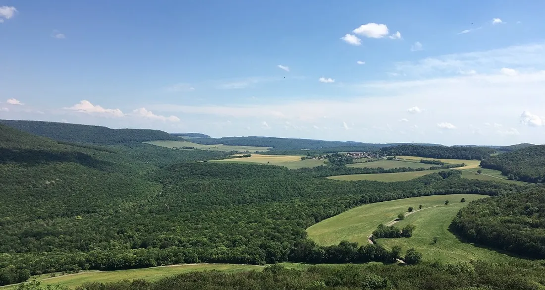L'accident s'est produit ce mardi sur la commune d'Urcy, dans le secteur de la Roche d'Anse